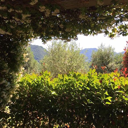 Agriturismo Tenuta La Fratta Bagni di Lucca Exterior photo